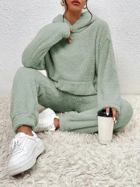 Cozy Two-piece Teddy Winter Set With hood For Women