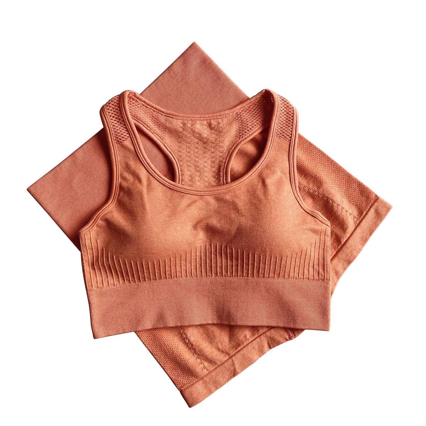 Sports Fitness Seamless Women Activewear Season Prestige