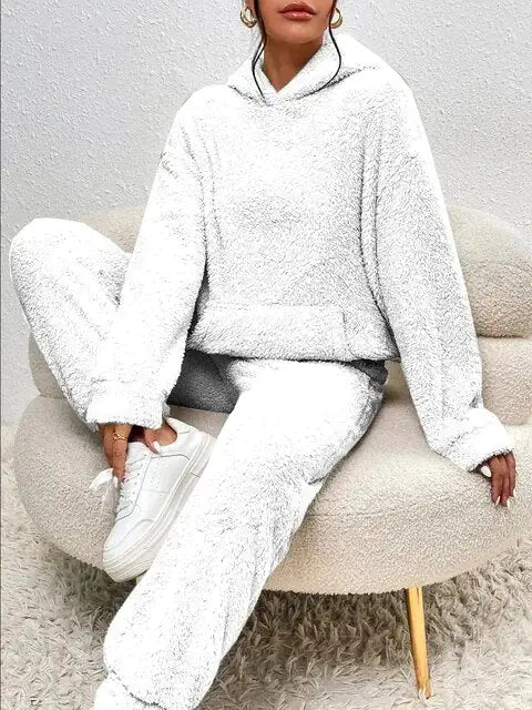 Cozy Two-piece Teddy Winter Set With hood For Women