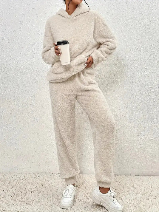 Cozy Two-piece Teddy Winter Set With hood For Women