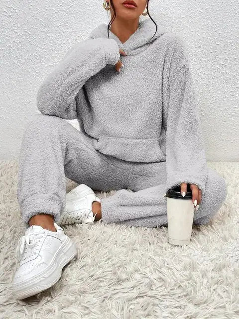 Cozy Two-piece Teddy Winter Set With hood For Women